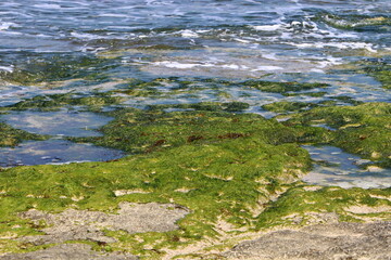 Coast of the Mediterranean Sea in northern Israel.