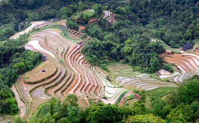 Terraced rice fields after the rice harvest season in Hoang Su Phi, Ha Giang province, Vietnam.