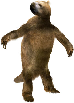 Megalonyx; Giant Ground Sloth on Transparent Background