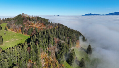 Luftaufnahme mit einer Drohne von einem Wald im Herbst mit Nebel in Bayern