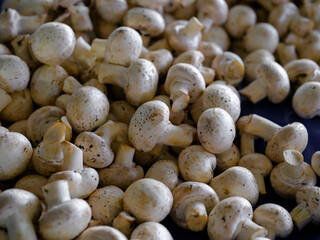 fresh mushrooms at the market