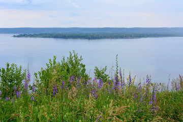 green grass with bluebells on the edge of the hill with island on horizon