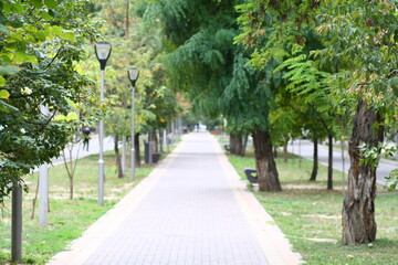 path in the park