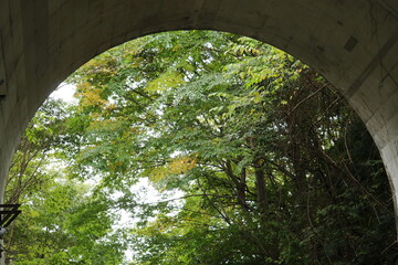 峠のトンネル出口