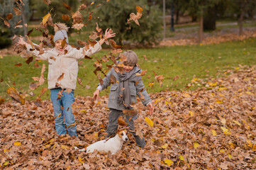 Fototapeta premium Caucasian children playing with dog jack russell terrier in autumn park. 