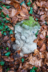 Onkoiden / Onkolithen . Fundort: Steiermark, Österreich, Europa  : Oncoids / Oncolites : Found in Styria, Austria, Europe