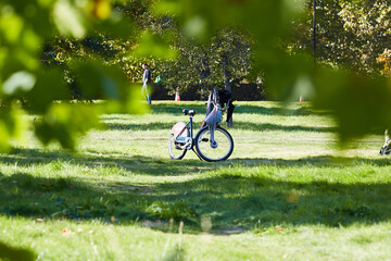 Fototapeta premium Hyde Park