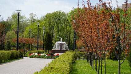 A small fountain in the garden with a blurry tree and foliage in the foreground. Quiet spring landscape with a fountain in the park