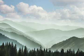Landscape of misty mountains. View of coniferous forest, layers of mountain and haze in the hills at distance. Beautiful cloudy sky. Tourism and travelling.