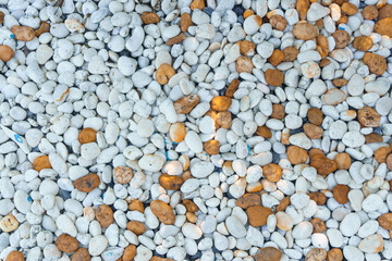 White and orange pebbles for garden decoration and use it as a backdrop