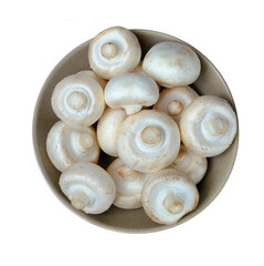 View from above on a dish with fresh mushrooms. Champignons in a dish on gray background.