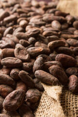 Beans of cacao, seed of chocolate