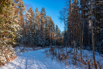 The winter snow road in the forest.