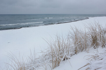 dry grass on a beach covered with snow. Winter sea with small blue waves