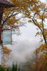 Herbst Laub Bäume Nebel