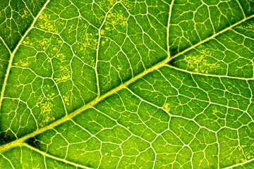 feuille 261122 02