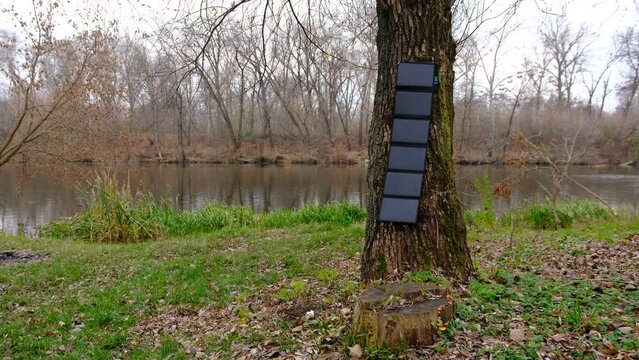 portable solar panel on thr tree charging smartpho