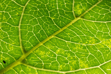 feuille 261122 04