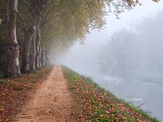 Canal path on a foggy day