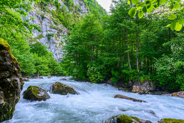 Mountain alpine stormy river in the tropical forest.