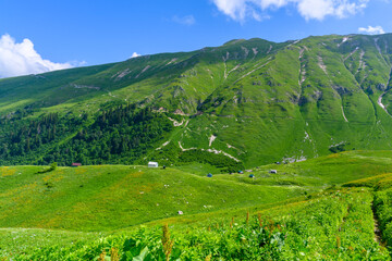 The snow-capped mountain peaks in the tropical forest.