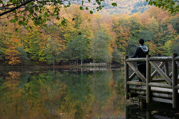 Autumn Season Reflections in the Yedigoller National Park, Yedigoller Lake Bolu, Turkey