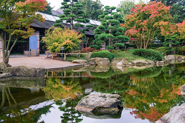 Fototapeta na wymiar Garden path in japanese garden with japanese maples - autumn coming to Hamburg