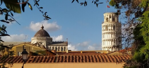 the white upper part of the tower of pisa above the roofs seen from the botanical garden