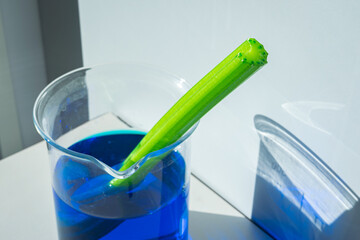 A cut stalk of celery is placed in a glass with blue color liquid and shows that the liquid is...