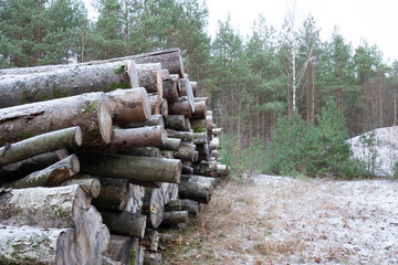 Wood for Europe people