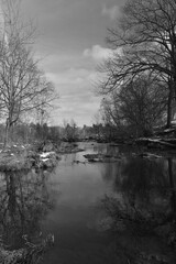 Parc Woodyatt 26 Novembre 2022 N&B