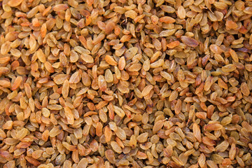 Pile of many raisins, dry fruits