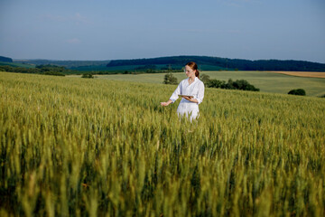 Laboratory-technician using digital tablet computer in a cultivated wheat field, application of...