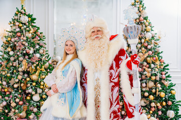 a Father Frost and Snow Maiden in the room with christmas trees 