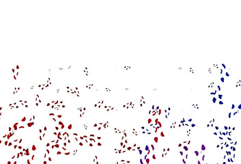 Fototapeta premium Light Blue, Red vector pattern with chaotic shapes.