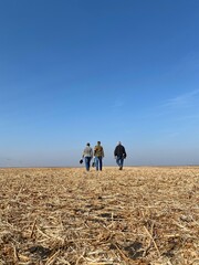 Workers walking in the field, agricultural 