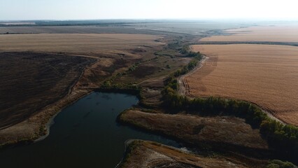 view of the corn field