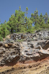 Terre et roches volcaniques ,T&eacute;n&eacute;rife ,volcan  le Teide, &Icirc;les Canaries ,