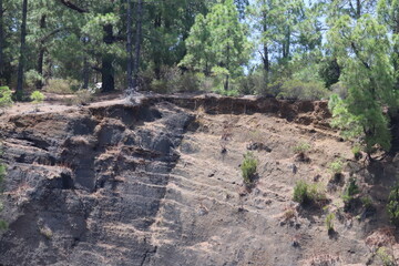 road in the countryside El Rosario  Tenerife,  Îles Canaries , espagne,