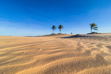 Fototapeta na wymiar dunes of 