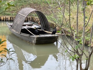 old wooden boat