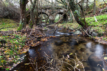 Raging mountain river. Mountain landscape in autumn. Course of the river with stones. Water and vegetation of the sierra. River of the Sierra de Madrid.