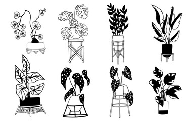 Set of doodle sketches of indoor plants in a flower pot.Vector graphics.
