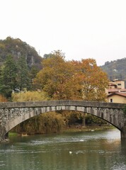 bridge over the river