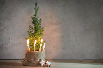 Alternative second Advent wreath, three candle lit with a flame on a small conifer plant as...