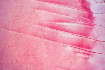 Fotobehang Fluor Roze Top view of the salt-covered shore of Pink Lake.  © CreativeSuburb