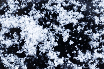Snow grains and snowflakes are sprinkled on the black hood of the car. Fresh slightly wet snow, warm winter