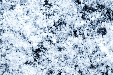 Snow grains and snowflakes are sprinkled on the black hood of the car. Fresh slightly wet snow, warm winter