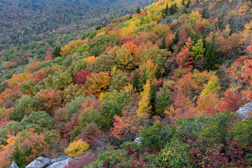 Shades of Fall on Mountain Slope