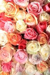 Obraz na płótnie Canvas Pastel rose wedding flowers